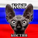 Кот Костян — официальный канал 67f594417626f.jpeg