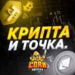 Крипта и точка 67f8f3c9b65d1.jpeg