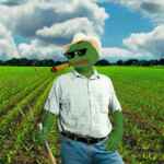 Крипто фермер 🌽 67f8ffa150e50.jpeg