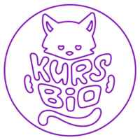 Kursbio ЕГЭ по биологии 2025| БАЗА 67fa4d356788e.jpeg