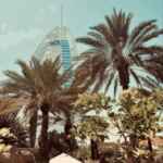 muz 67f8b5a561cab.jpeg