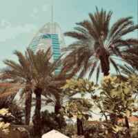 muz 67f8b5a561cab.jpeg