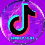 Музыка из TIK TOKA 67f8b0034a1eb.jpeg