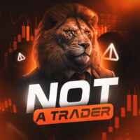 Not a Trader 67f8ed1ce99ce.jpeg