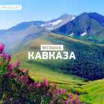 НОВЫЕ КАВКАЗСКИЕ ПЕСНИ 67f8b22c586ea.jpeg