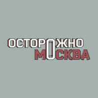 Осторожно, Москва 67fa0f62398a3.jpeg