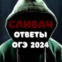 ОТВЕТЫ НА ОГЭ 2024 | СЛИВАЧ 67fa52fac85ca.jpeg
