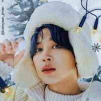 PARK JIMIN | BANGTAN | BTS 67f8b10967396.jpeg