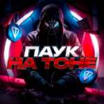 Паук на Тоне 🕸️ 67f8fc2d3d900.jpeg