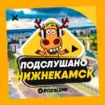ПОДСЛУШАНО НИЖНЕКАМСК 🧿 67fa4910c3e99.jpeg