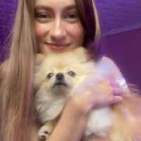 Polly Pie ✨ 67fb6bd13628e.jpeg
