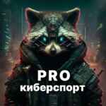 PRO Киберспорт 67f83b98d7deb.jpeg