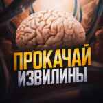 Прокачай извилины! 67fa50871c0d4.jpeg