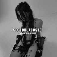 sector LACOSTE 🐊 67f8b268165d5.jpeg