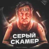 Серый Скамер 67f90198966e6.jpeg