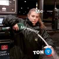 SHIZOTON 67f8efc785f92.jpeg