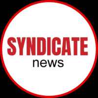 СИНДИКАТ NEWS 67fa0ff31c74c.jpeg