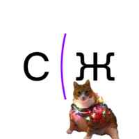 Сириус.Журнал 67fa596d1608a.jpeg