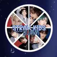 Stray Kids | 스트레이 키즈 67f8adfed3a64.jpeg