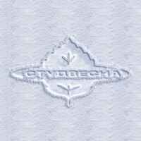 СТУДВЕСНА 67fa51469c5c3.jpeg