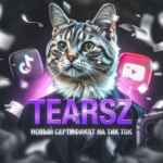 tearsz(слёзки) (мод на айфон/ютуб ) Новый сертификат на тик ток (айфон и андроид) 67f7807c20047.jpeg