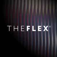 THE FLEX | сеть фитнес студий 67f8e34dd6c39.jpeg