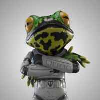 TON Frogs NFT 67f8f0ee50e0f.jpeg