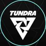 Tundra Esports 67f847e818c4c.jpeg