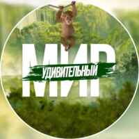 Удивительный Мир 🏝 67fb749fa31ef.jpeg