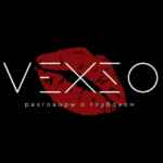 VEXSO 67f8208d495c9.jpeg