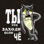 ВИДЕО|ПРИКОЛЫ|АНЕКДОТЫ 67f5611510de6.jpeg