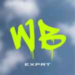 Wb.Exp 67f8d4ad4330d.jpeg