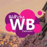 WildPicks | Подборки wildberries 67f575db8cf6d.jpeg