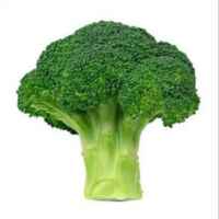 я Эд, а не Эдик🥦 67fb864bc214c.jpeg