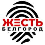 Жесть Белгород 67fa0e53a199a.jpeg